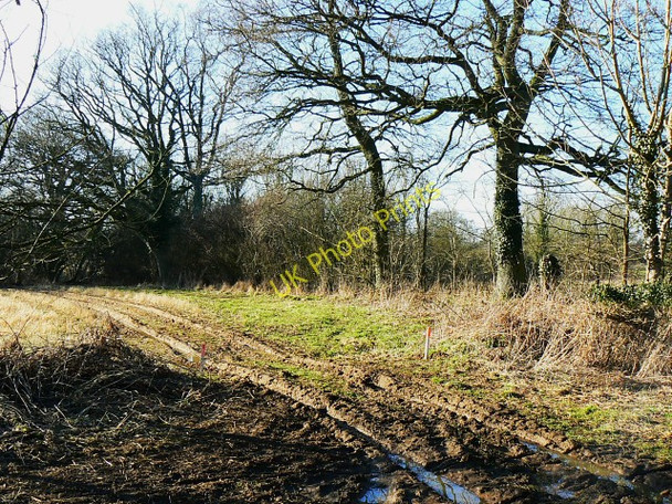 Photo 6"x4" Footpath north of New Covert, near Compton Bassett Compton Bassett c2009