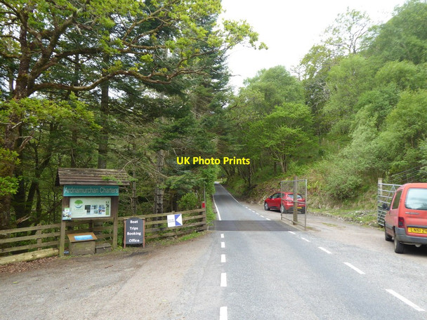 Photo 6"x4" Cattle grid at Laga Laga c2017