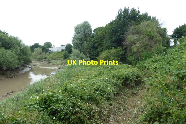 Photo 6"x4" Mown path along the river bank Netham c2017