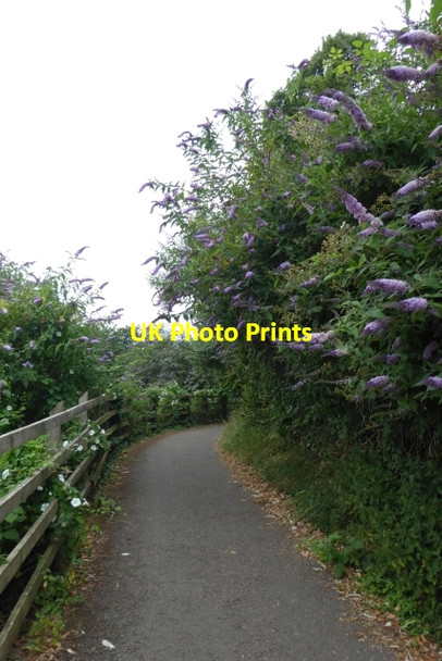 Photo 6"x4" River path near Avon Bridge Arno's Vale c2017