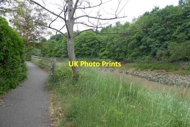 Photo 6"x4" Avon river path Arno's Vale c2017