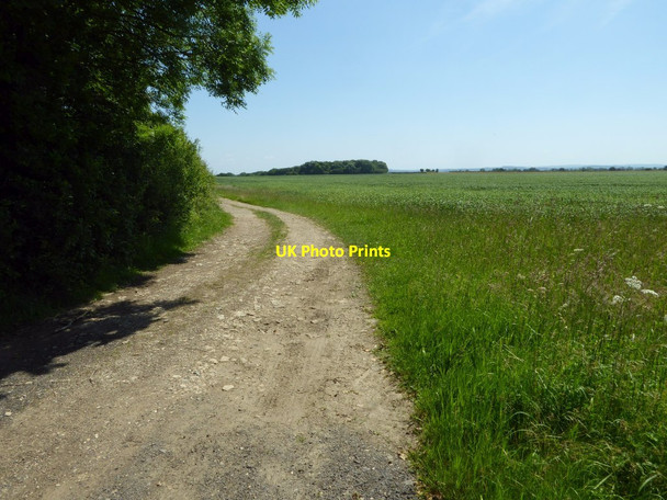 Photo 6"x4" Farmland track Netherton\/SP1504 c2017