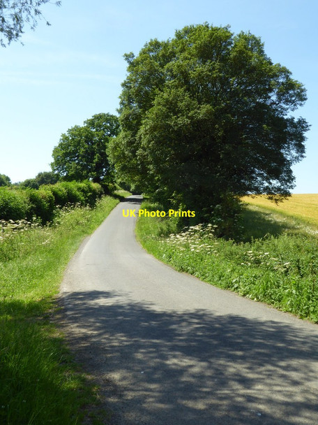 Photo 6"x4" Country road at Hammersmith Bottom Eastleach Turville c2017