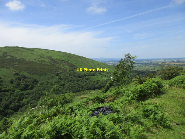 Photo 6"x4" Knockroe and the valley of the Glenboy River Newcastle\/S1213 c2017