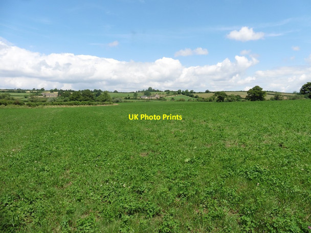 Photo 6"x4" Fields in Broad Valley Hill End\/ST5011 c2017