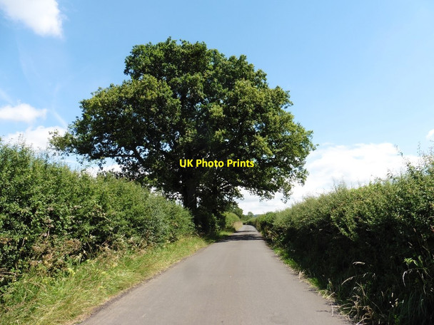 Photo 6"x4" New Road Hill End\/ST5011 c2017