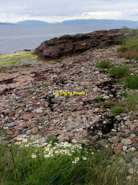 Photo 6"x4" Shingle shore near Fintray Bay Millport c2017