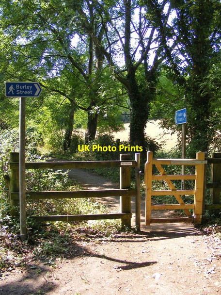 Photo 6"x4" Burley Path Burley\/SU2103 c2017