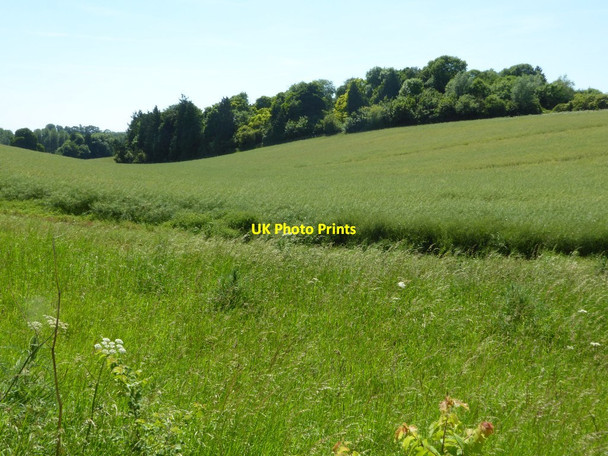 Photo 6"x4" Arable land in the Coln valley Coln St Aldwyns c2017