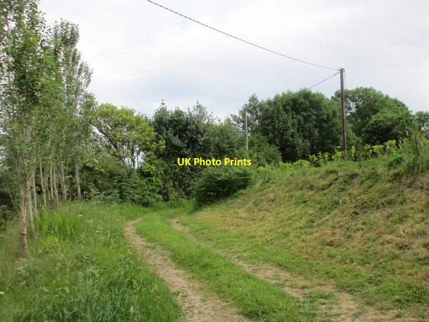 Photo 6"x4" Farm track at Ballinaspick North Lismore\/X0498 c2017