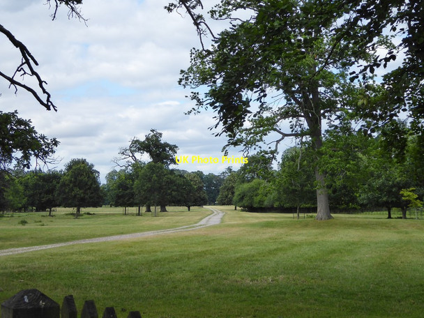 Photo 6"x4" Englefied Park from Parker's Corner Parker's Corner c2017