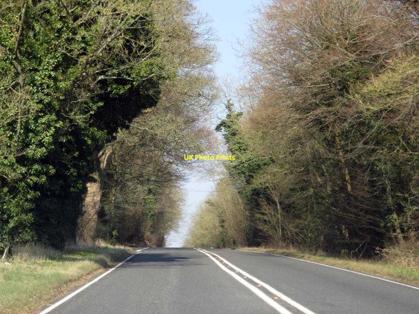 Photo 6"x4" Basingstoke Road heading towards Basingstoke Micheldever c2016 P2