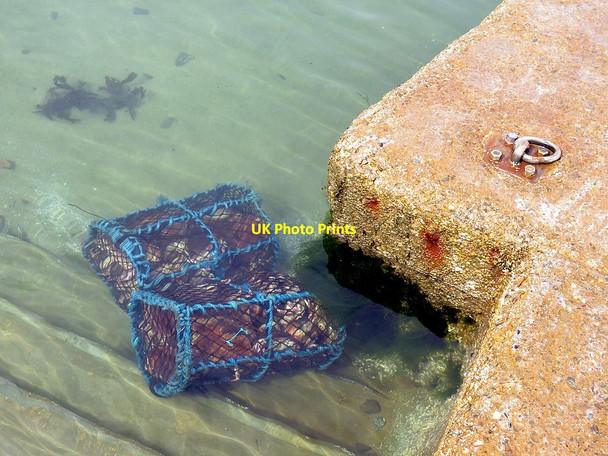 Photo 6"x4" Keeping the scallops fresh off Kerrera Ferry jetty Pulpit Hill\/NM8529 c2017