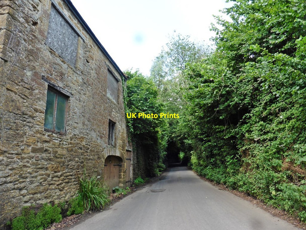Photo 6"x4" Ham Hill Road Odcombe c2017