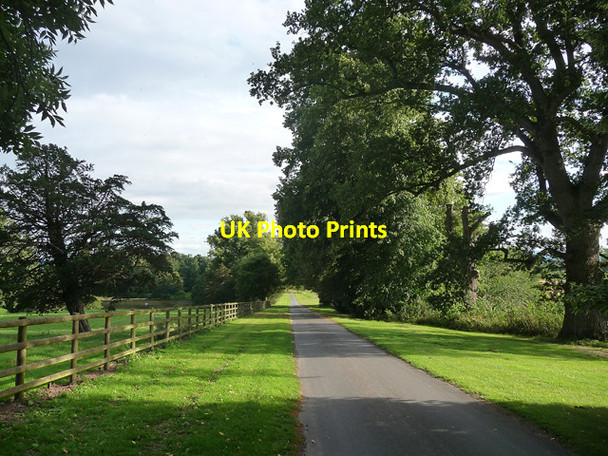 Photo 6"x4" Path near Shobdon Easthampton c2013