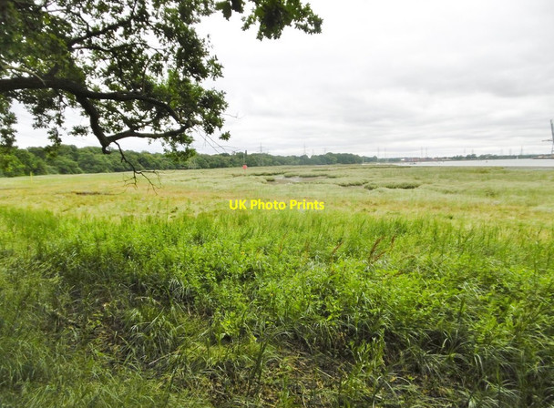 Photo 6"x4" Marchwood, saltmarsh Marchwood c2017
