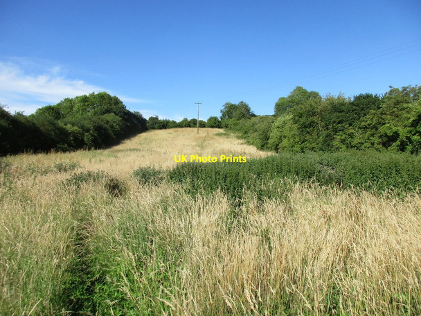 Photo 6"x4" Footpath to Corkhill Lane Maythorne c2017