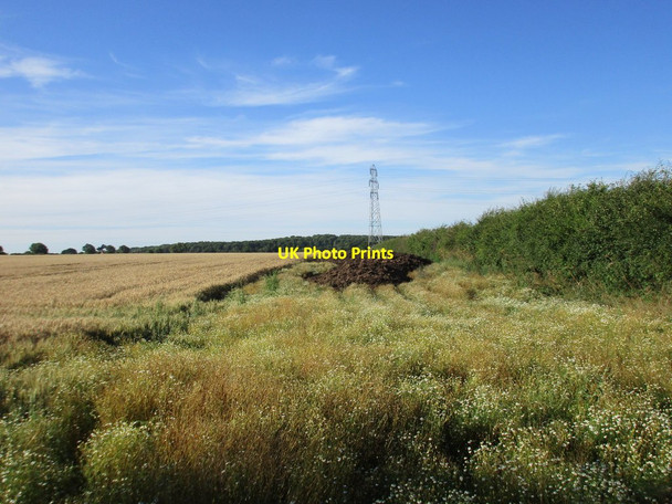 Photo 6"x4" Wheatfield, pylon, muck heap Upton\/SK7354 c2017