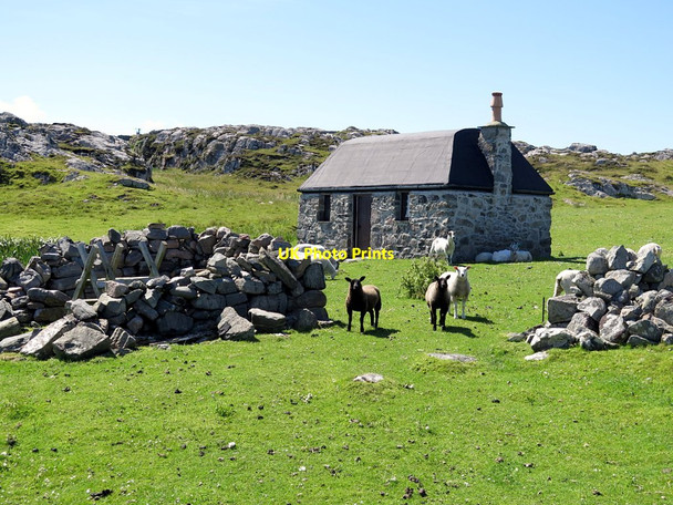 Photo 6"x4" Croft near Dun Beag Vaul c2017