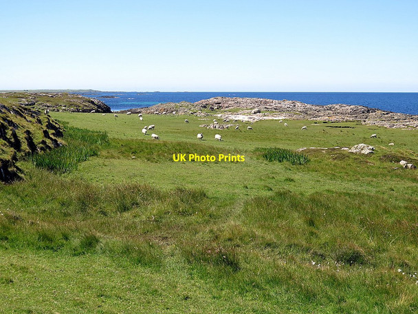 Photo 6"x4" Sheep grazing near Ringing Stone Vaul c2017