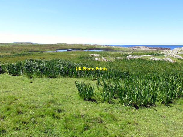 Photo 6"x4" Boggy land east of Loch Aulaig Vaul c2017