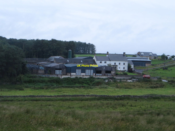 Photo 6"x4" Fields and buildings at Whiteside Whiteside\/NY7069 c2017
