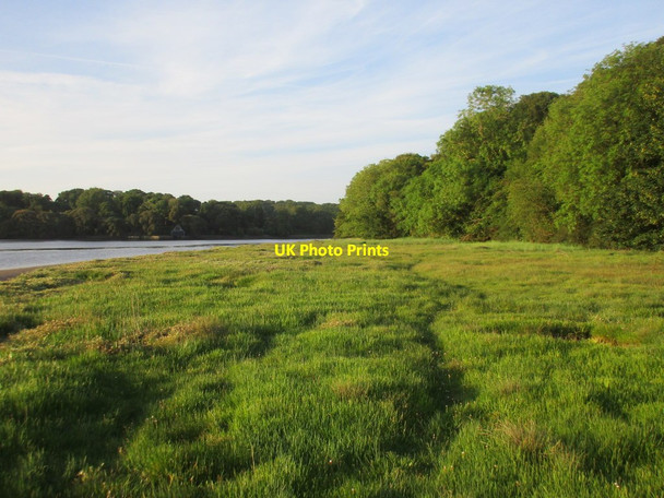Photo 6"x4" Marsh by the River Blackwater near Ardsallagh Quay Newtown\/X0681 c2017