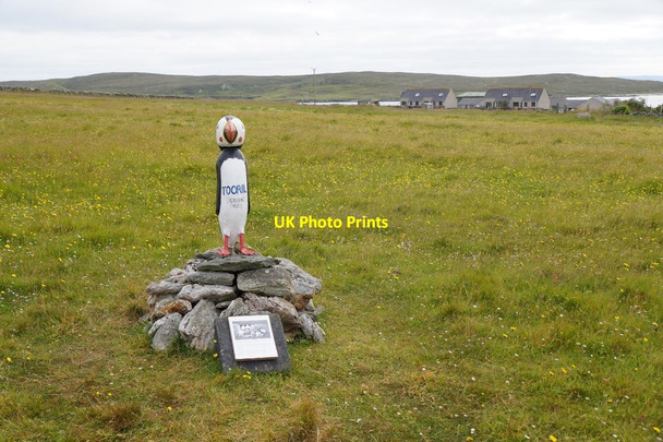 Photo 6"x4" The Unstfest Puffin 'Tooril', Uyeasound Clivocast c2017