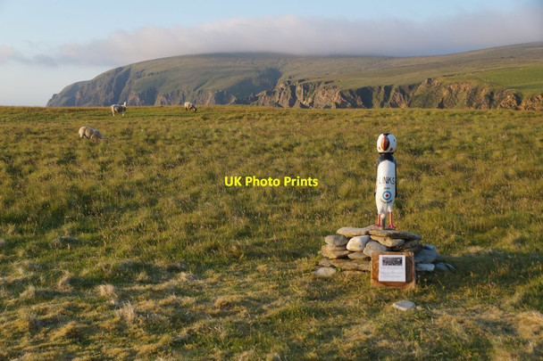 Photo 6"x4" The Unstfest Puffin 'Links', Burrafirth Burrafirth c2017