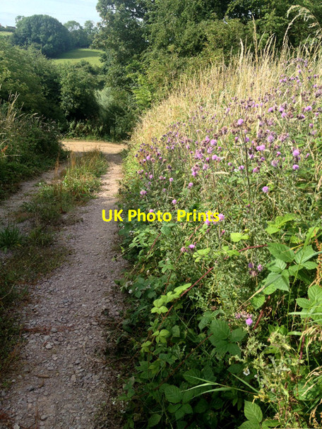 Photo 6"x4" Field track off Toft's Lane Stathern c2017