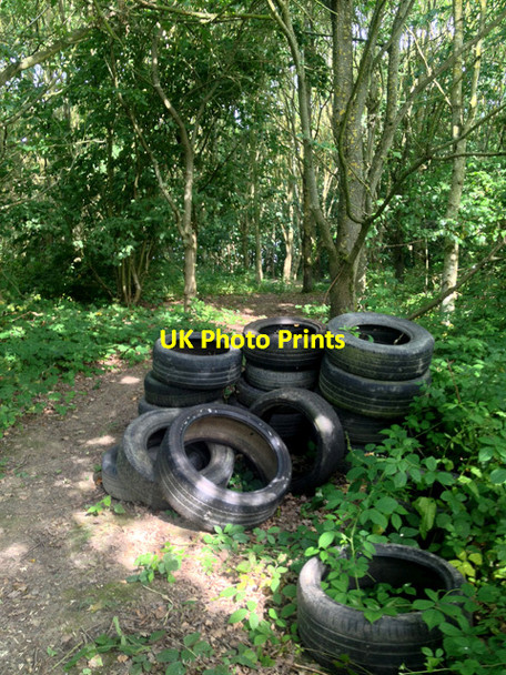 Photo 6"x4" Small mixed woodland, Vale of Belvoir Stathern c2017