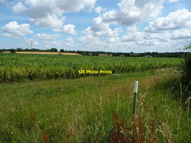 Photo 6"x4" Arable field, north side of Ixworth Road West Street\/TL9870 c2017