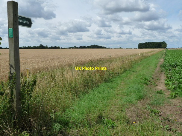 Photo 6"x4" Public footpath heading west to Cromwell's Plantation Little Green\/TM0671 c2017
