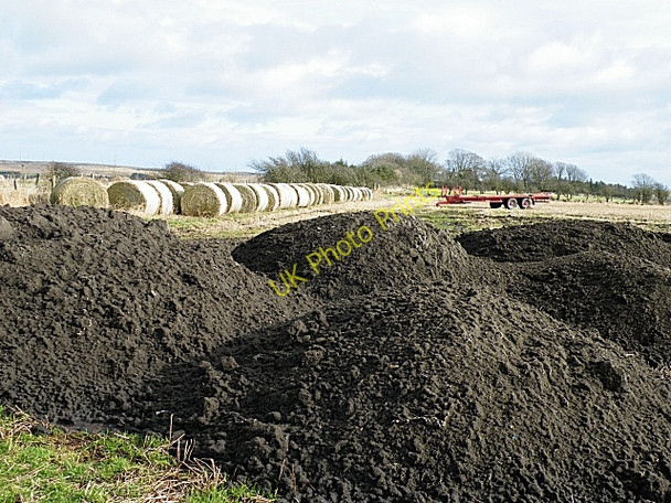 Photo 6"x4" Mains of Knockhall Newburgh\/NJ9925 c2009