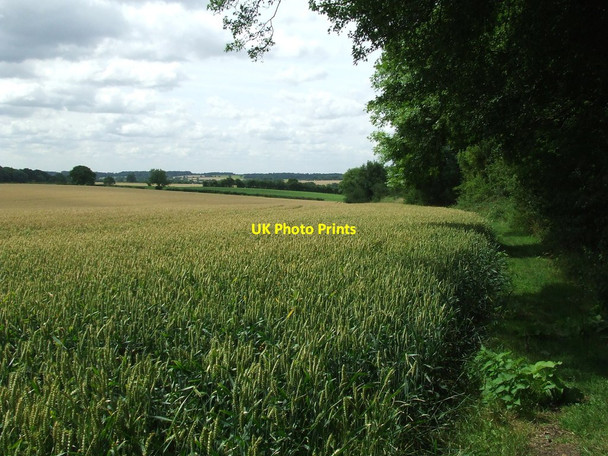 Photo 6"x4" Footpath Looking South Building End c2017
