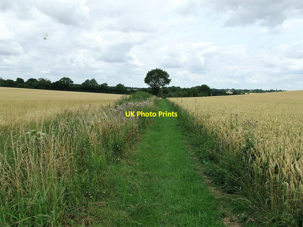 Photo 6"x4" Footpath Looking North Building End c2017