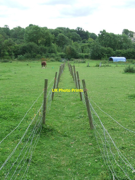 Photo 6"x4" Through The Paddocks Broad Green\/TL4439 c2017