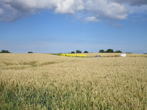 Photo 6"x4" Road through the wheat fields New Ellerby c2017