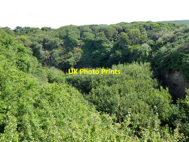 Photo 6"x4" Whale Chine Atherfield Green c2017