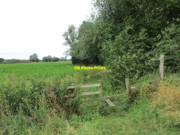 Photo 6"x4" Footpath to Bleasby Bleasby\/SK7149 c2017
