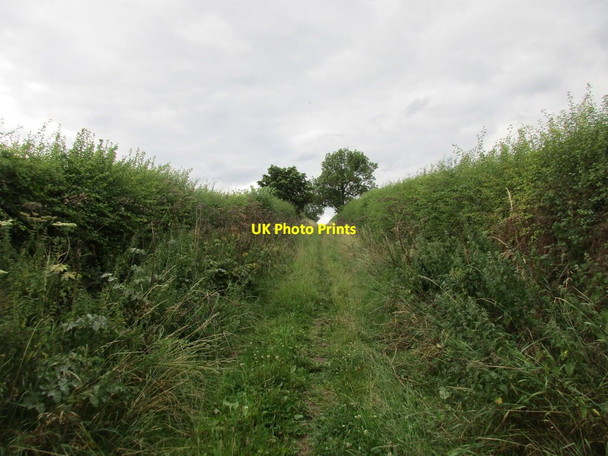 Photo 6"x4" Gorsy Lane Southwell\/SK7053 c2017