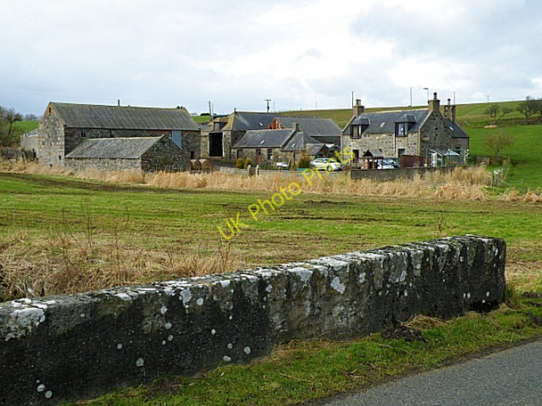 Photo 6"x4" Mill of Tarty Tipperty\/NJ9626 c2009