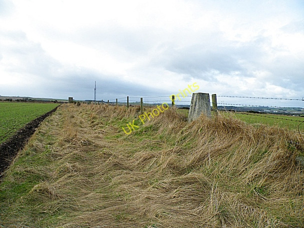 Photo 6"x4" Triangulation Pillar Denhead\/NJ9930 c2009
