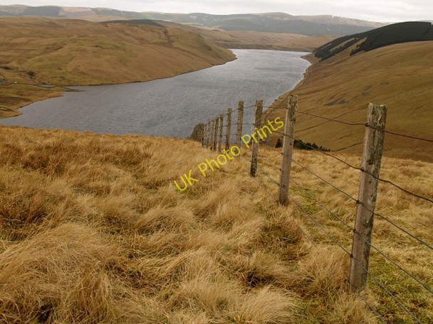 Photo 6"x4" Fence, Strawberry Hill Talla Linnfoots c2009