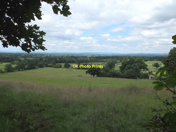 Photo 6"x4" Towards Mottram St Andrew from Clock House Wood Alderley Edge\/SJ8478 c2016