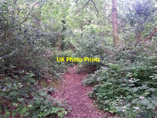 Photo 6"x4" Talbot Village: this path crosses the route of footpath N13 Ensbury Park c2016