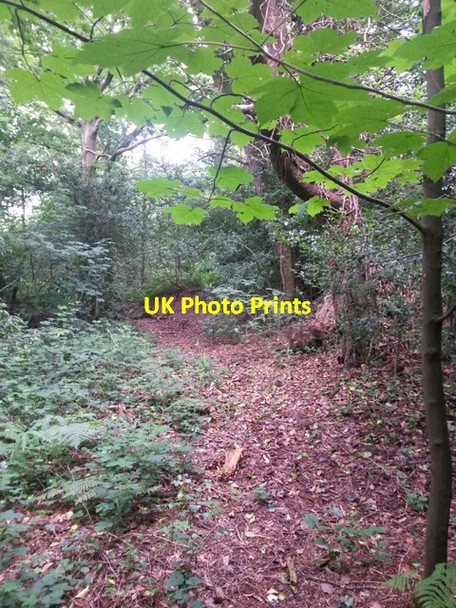 Photo 6"x4" Talbot Village: footpath N13 is just discernible Ensbury Park c2016