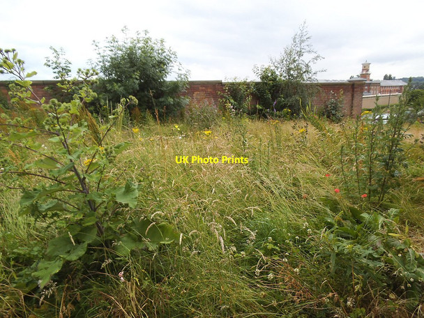 Photo 6"x4" Wakefield Westgate station - wildflowers Wakefield\/SE3320 c2016
