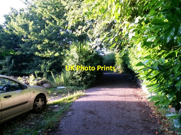 Photo 6"x4" East Howe: midway along footpath E39 East Howe c2016