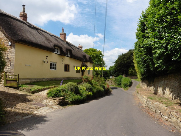 Photo 6"x4" Mount Cottage Ilminster c2016